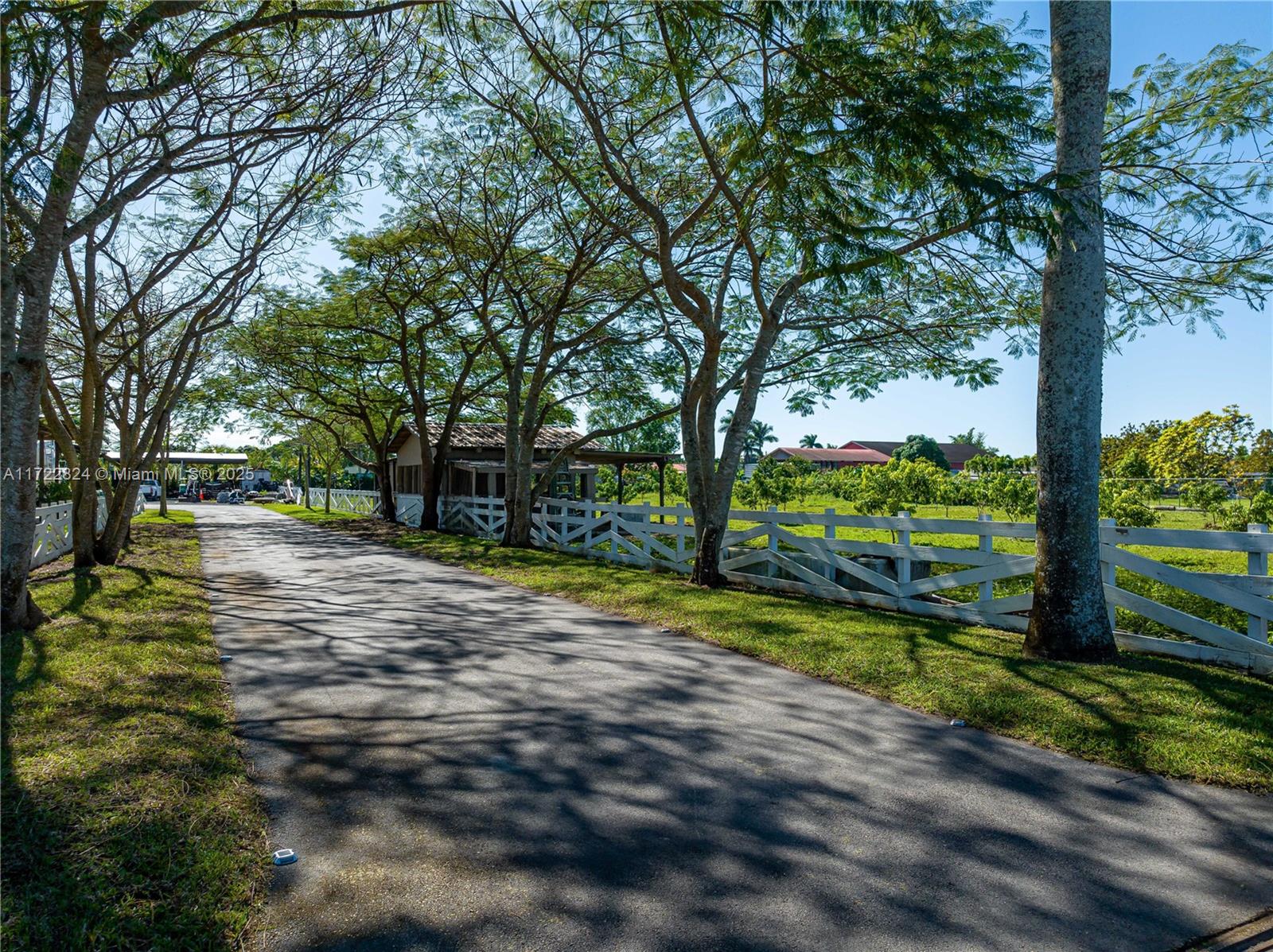 Residential, Homestead, Florida image 4