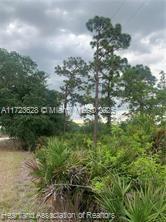 615 Wildflower Street, Lake Placid, Florida image 10