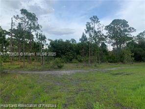 615 Wildflower Street, Lake Placid, Florida image 15