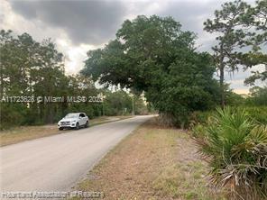 615 Wildflower Street, Lake Placid, Florida image 5