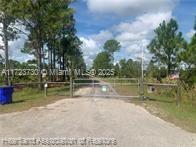 881 Papaya Street, Lake Placid, Florida image 3