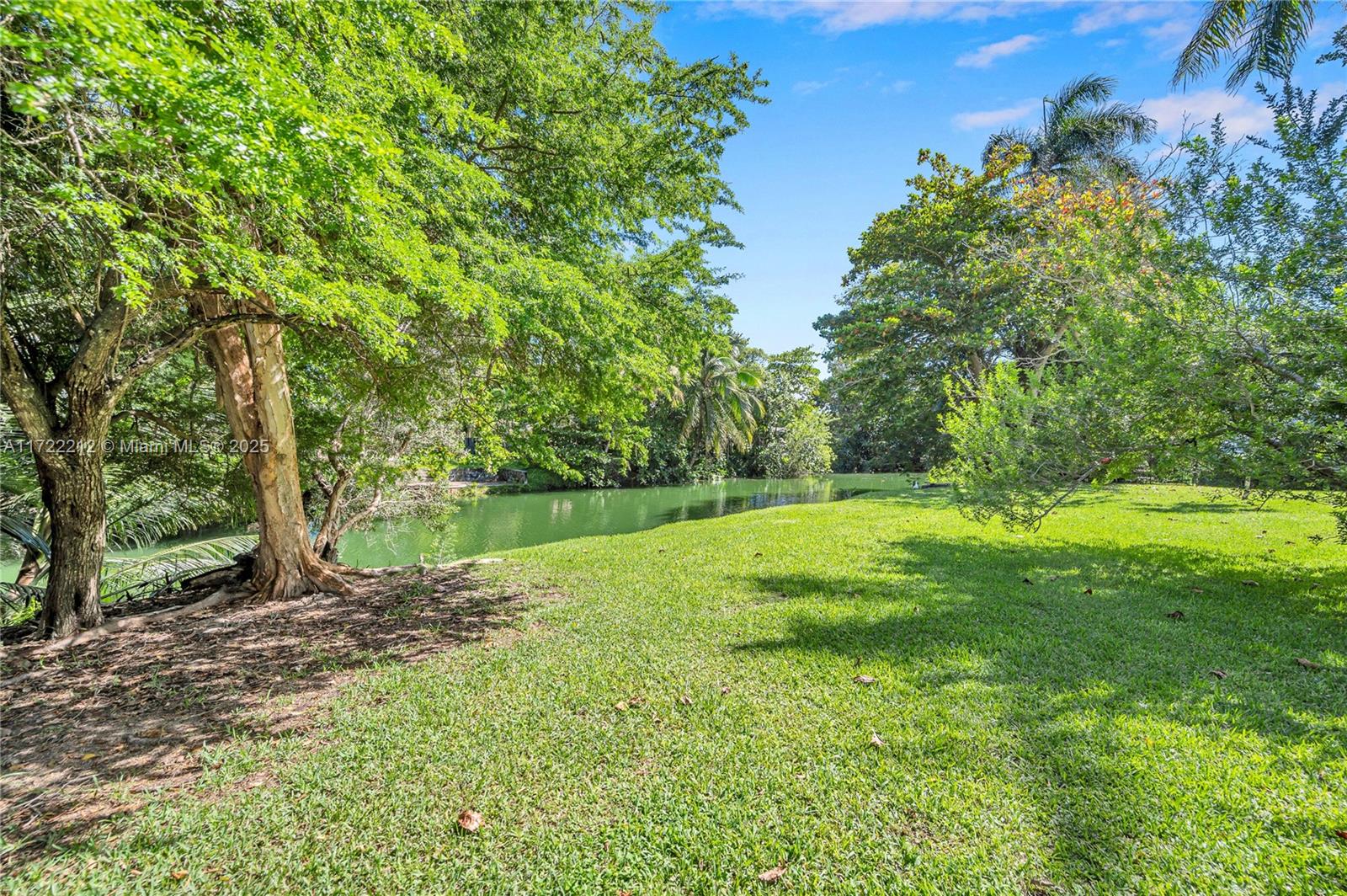 6624 Mimosa Ct, South Miami, Florida image 32