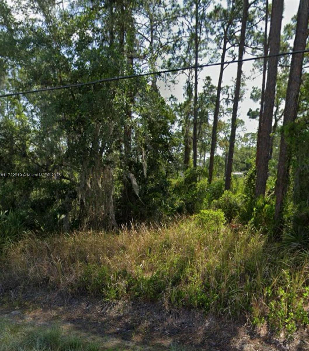 1909 Everlast, Sebring, Florida image 4