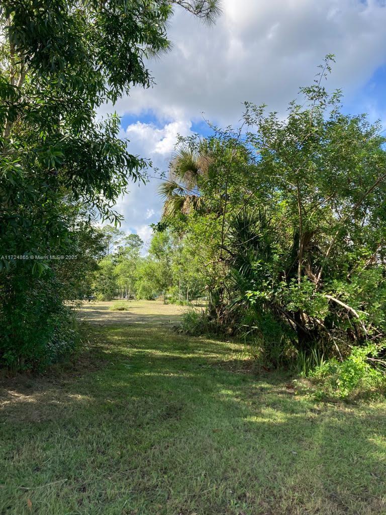 200 Vero, Clewiston, Florida image 9