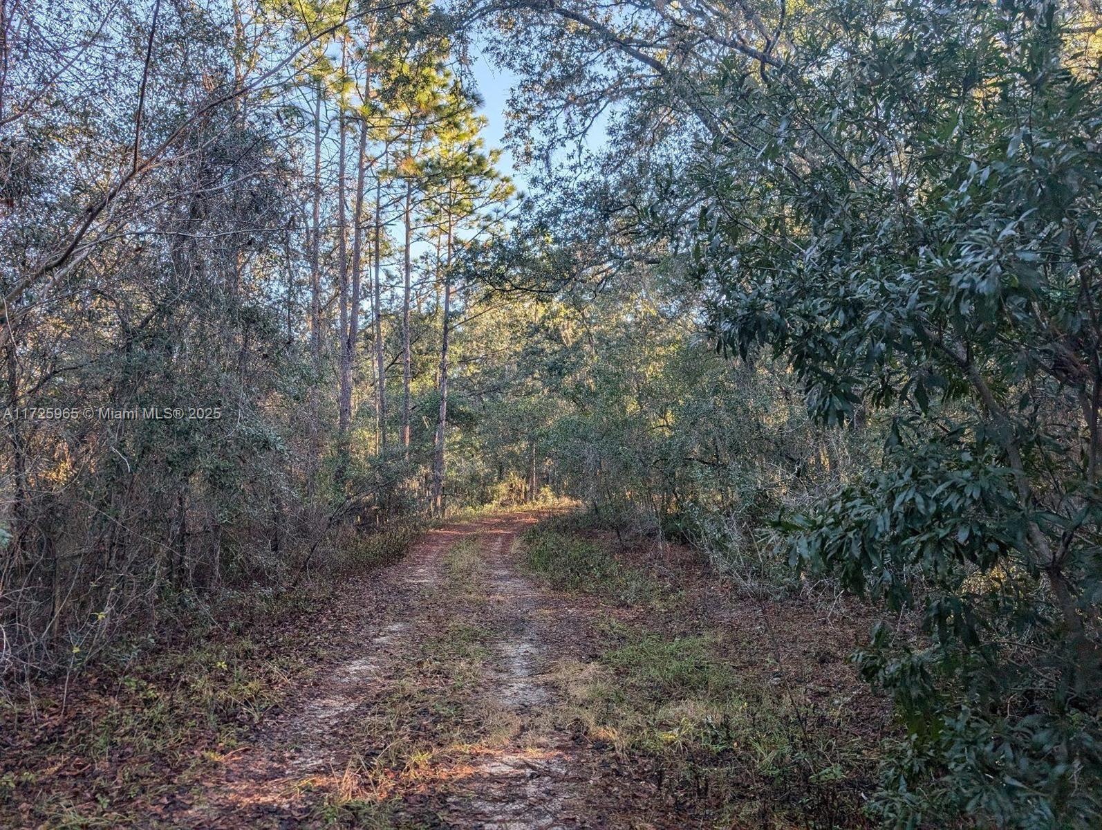 Martha Ave, Palatka, Florida image 8