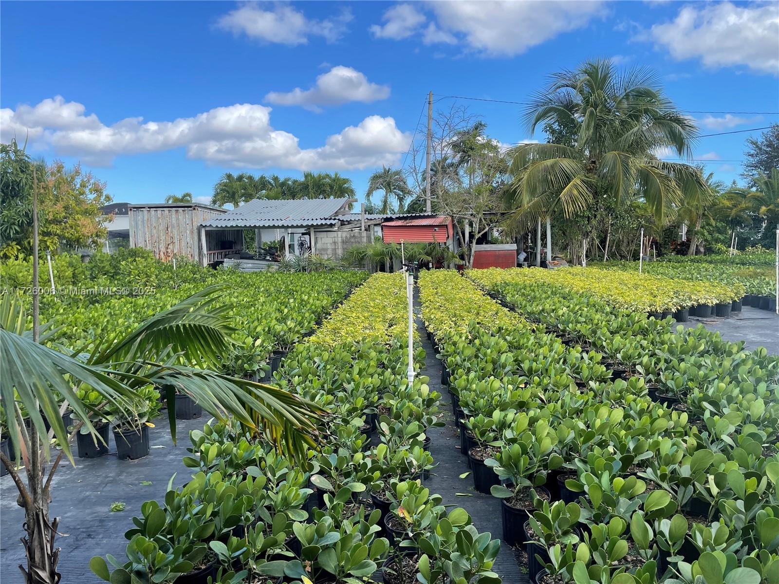 16375 SW 304th St, Homestead, Florida image 8