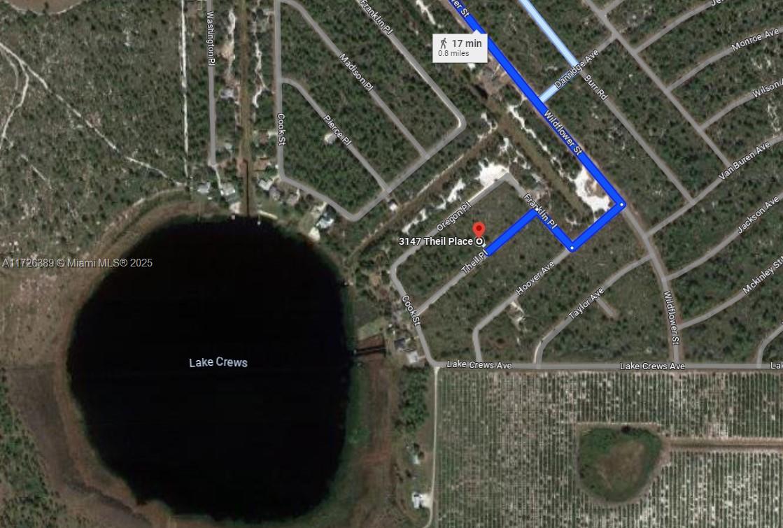 3147 Theil Place, Lake Placid, Florida image 2