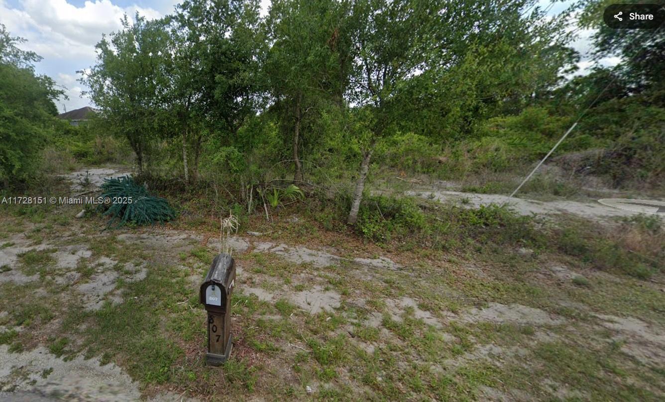 808 Frederick Reid St E, Lehigh Acres, Florida image 1