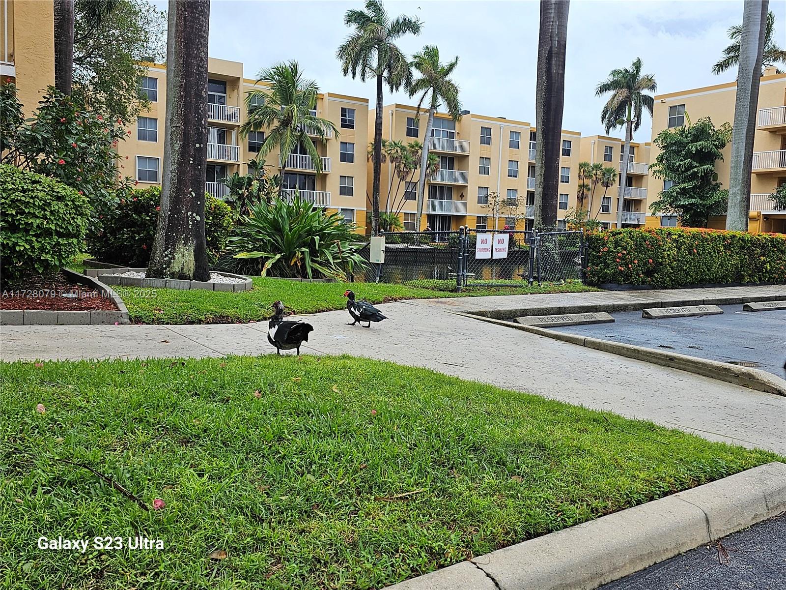 Residential, Dania Beach, Florida image 34