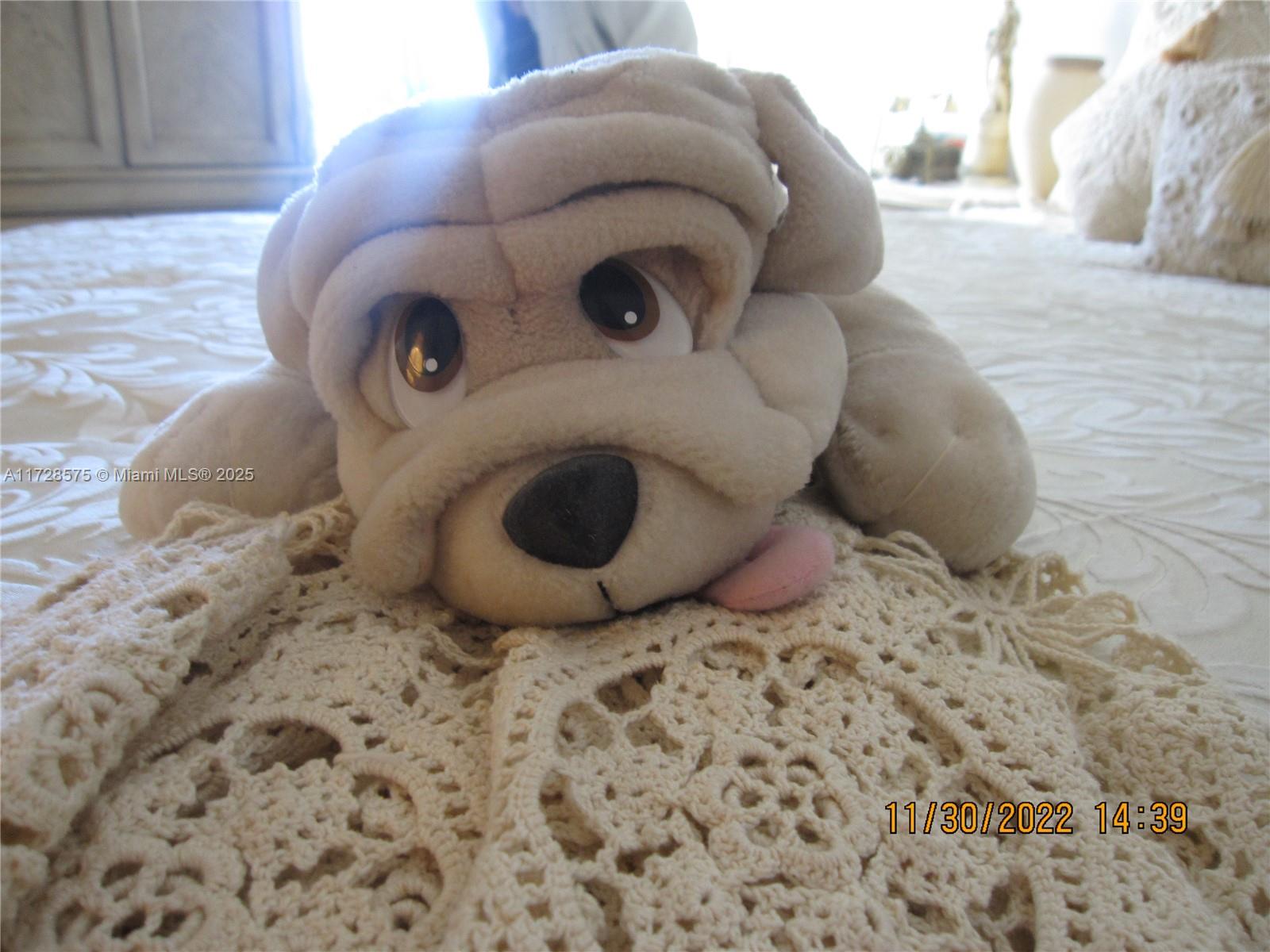 Listing Photo 27
