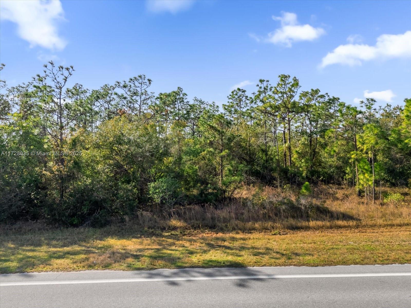 LOT 14 Dallas Blvd, Orlando, Florida image 3