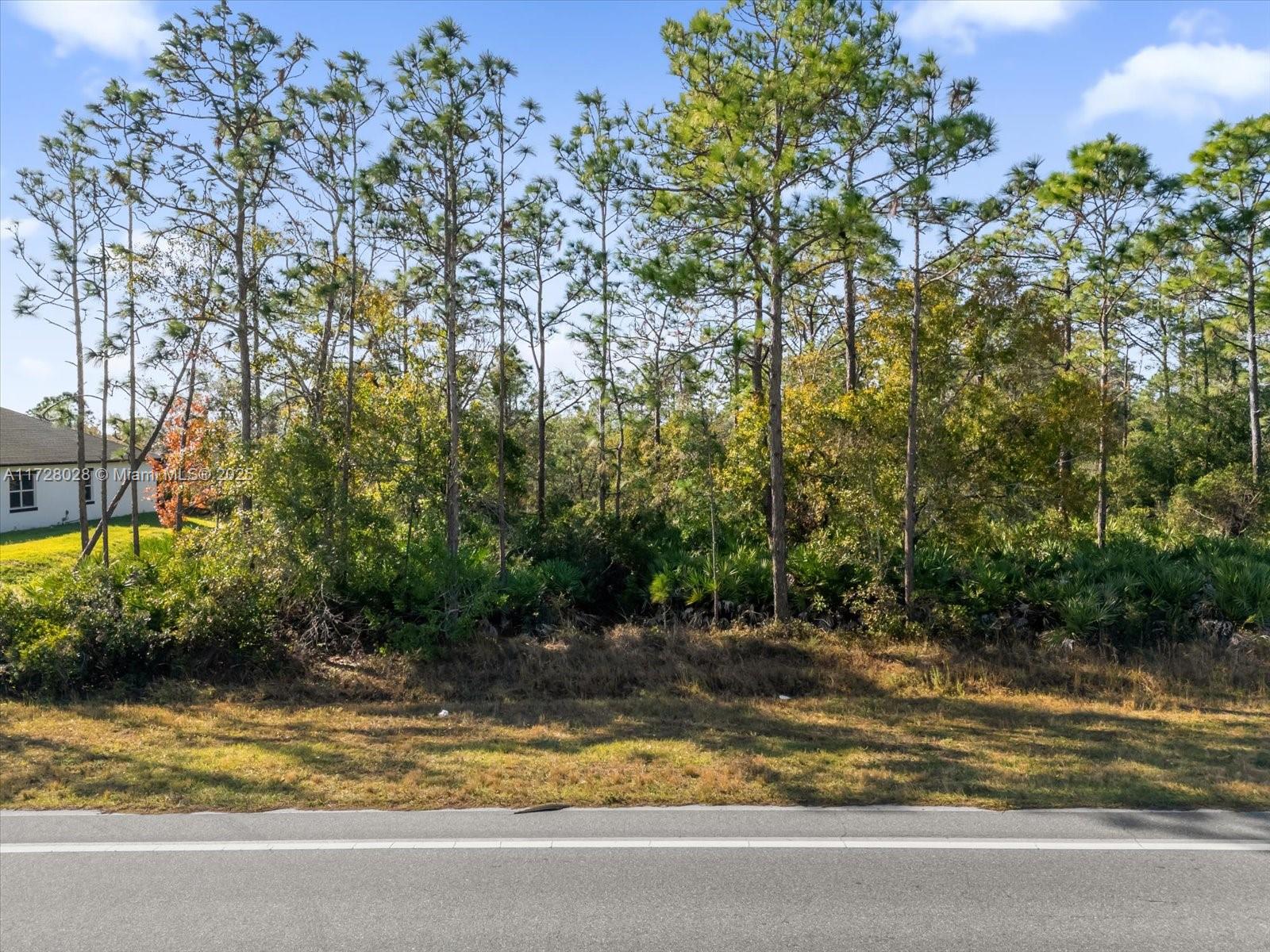 LOT 13 Dallas Blvd, Orlando, Florida image 2