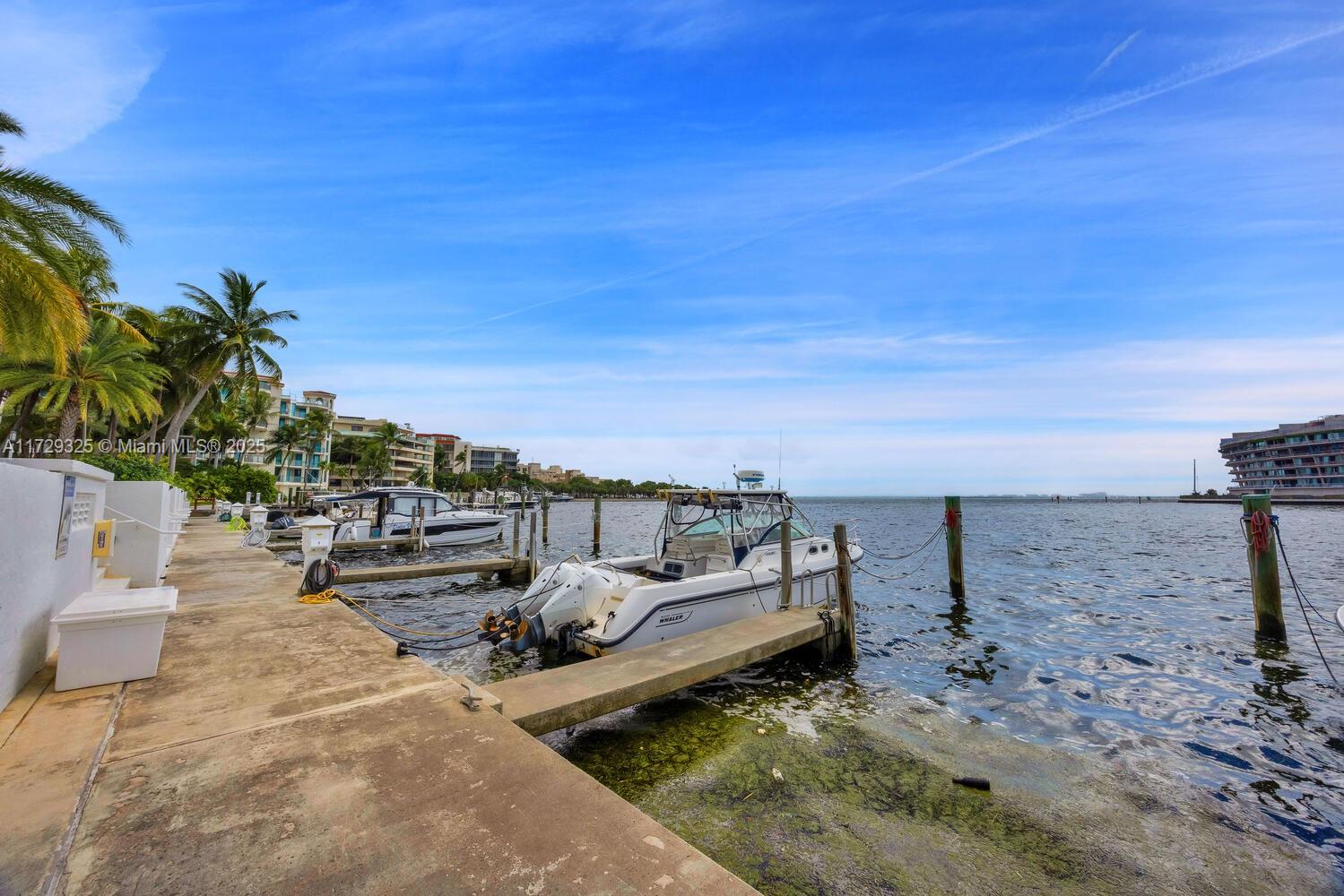 1600 S Bayshore Ln #8D, Coconut Grove, Florida image 29