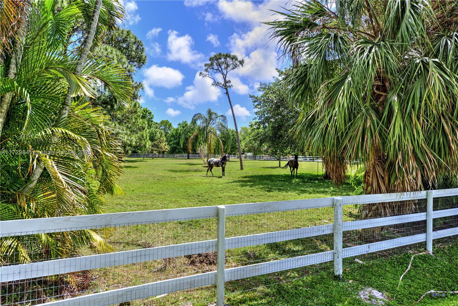 112 Bryce Ln, Jupiter, Florida image 37