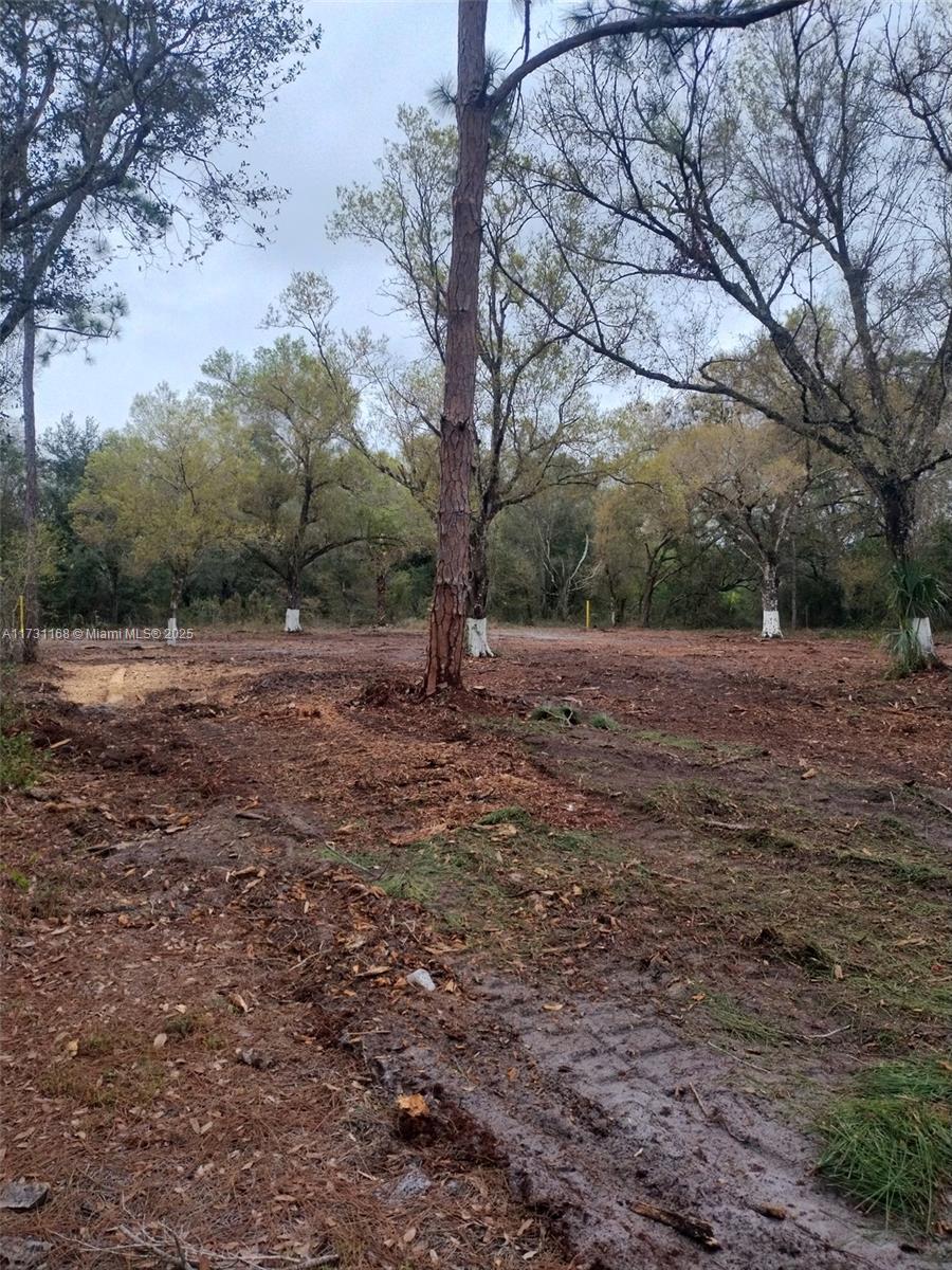 Land, Lehigh Acres, Florida image 1