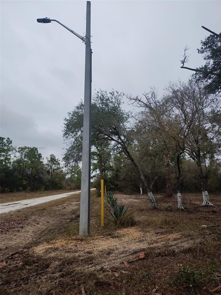 Land, Lehigh Acres, Florida image 2