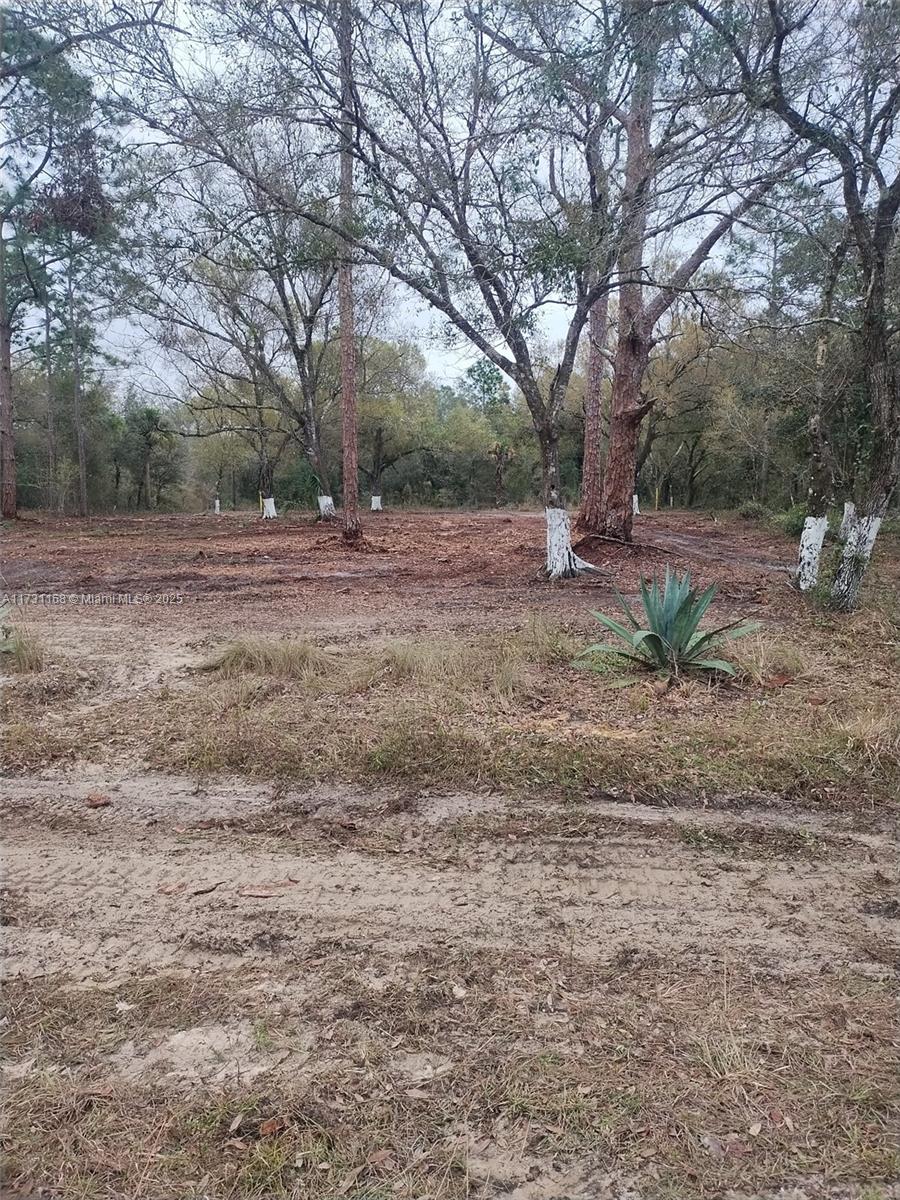 Land, Lehigh Acres, Florida image 3