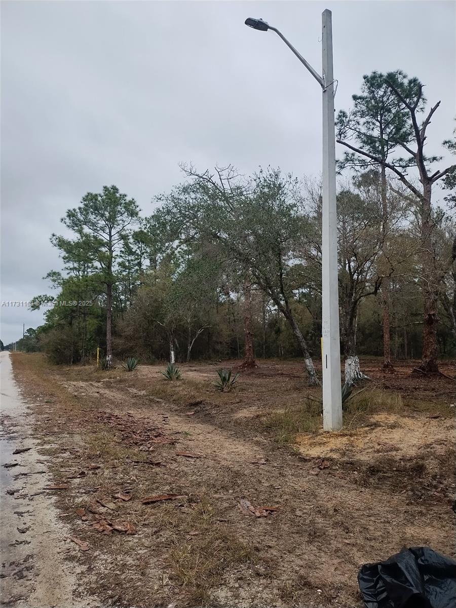 Land, Lehigh Acres, Florida image 4