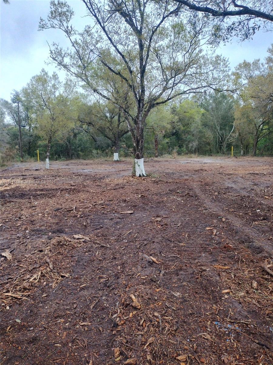 Land, Lehigh Acres, Florida image 5