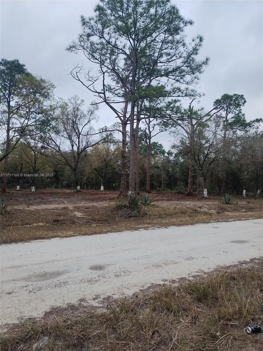 Land, Lehigh Acres, Florida image 9