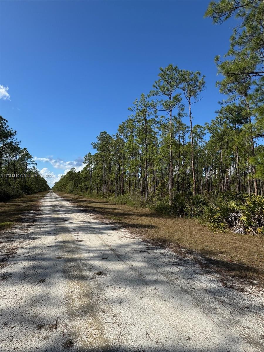 806 Belmonte, Lake Wales, Florida image 4