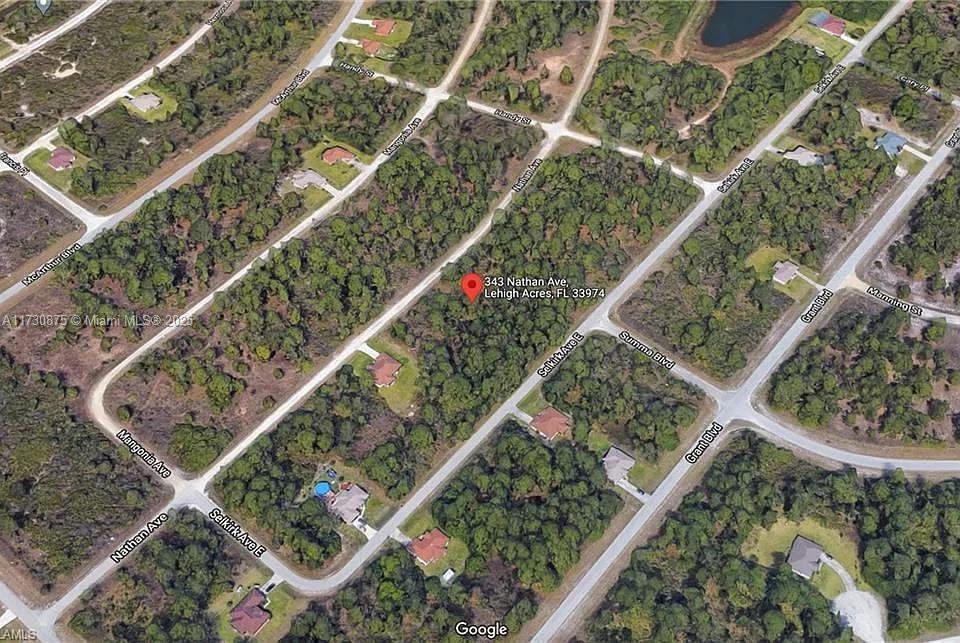 343 Nathan Ave, Lehigh Acres, Florida image 2