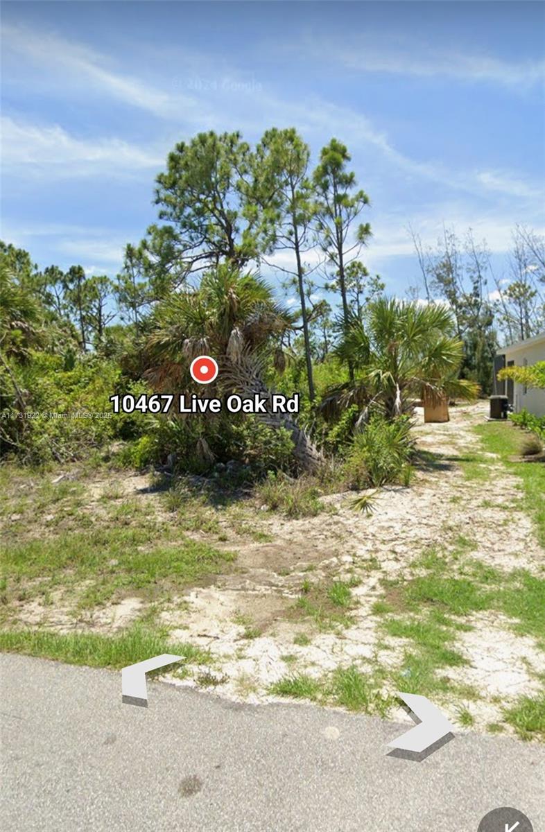 10467 Live Oak Rd, Port Charlotte, Florida image 1