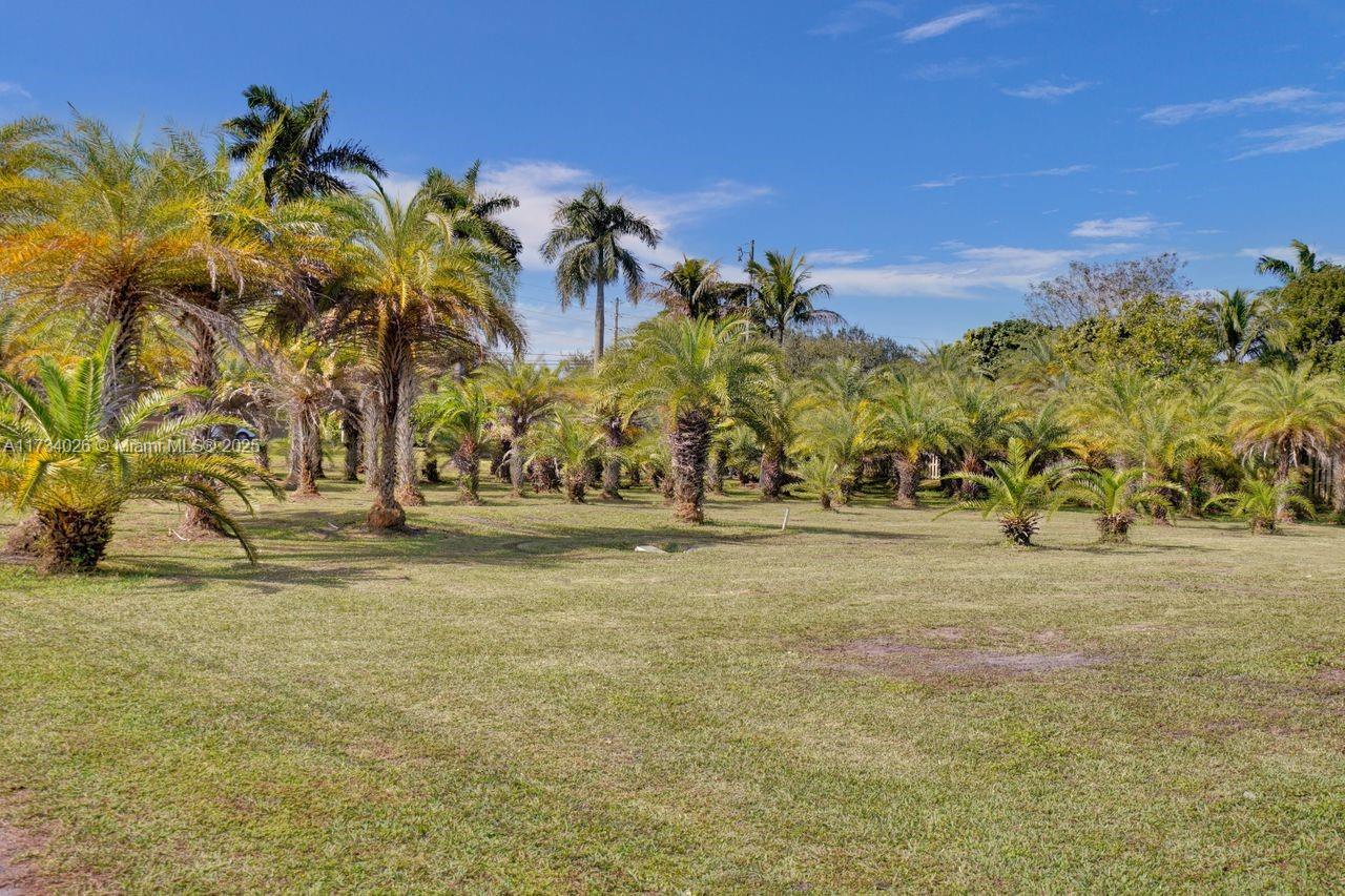 5450 SW 148th Ave, Southwest Ranches, Florida image 7