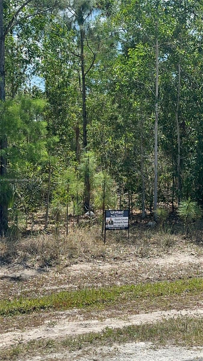 NONE None, Naples, Florida image 5