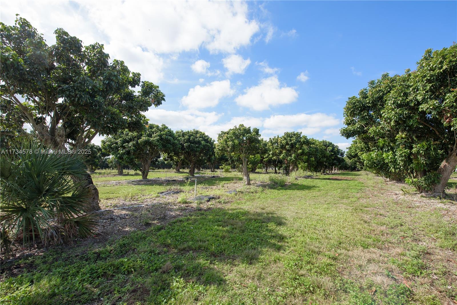 30801 SW 212th Ave, Homestead, Florida image 14