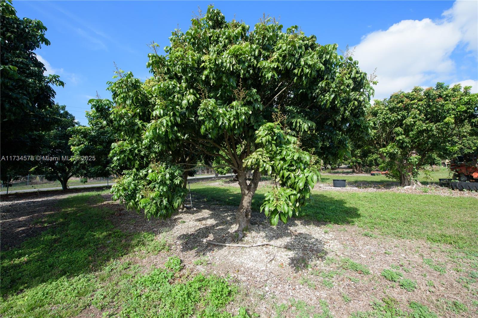 30801 SW 212th Ave, Homestead, Florida image 17