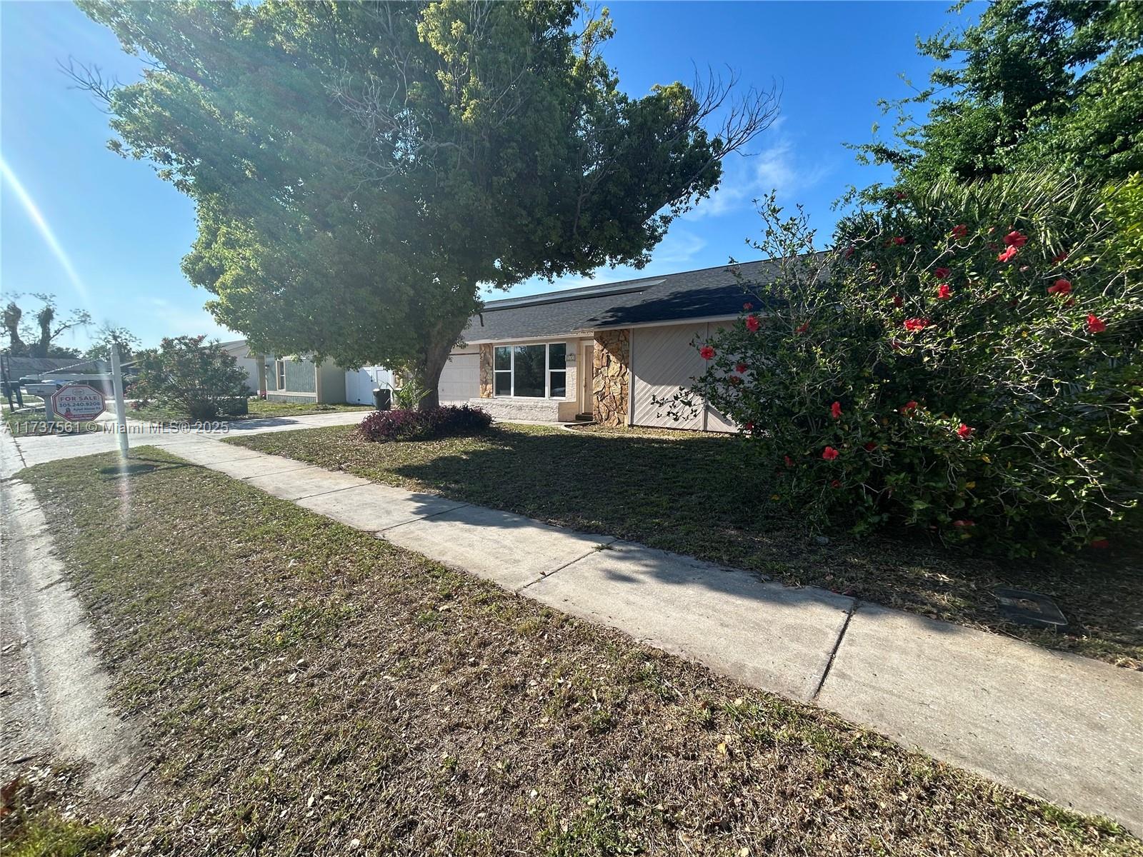 7403 Foxbloom Dr, New Port Richey, Florida image 9