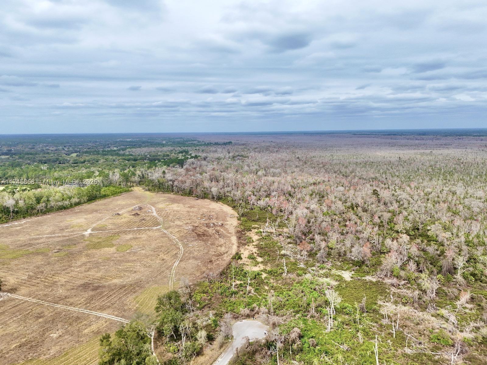 Hickory Track Dr, Ocala, Florida image 4