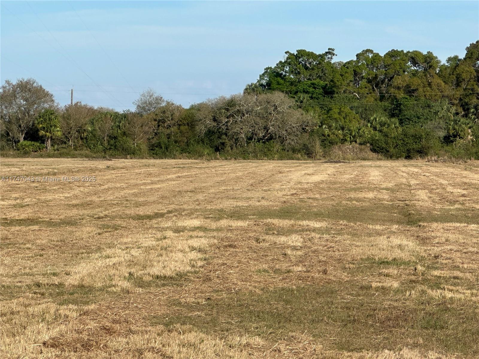 TBD Hendry Isles, Clewiston, Florida image 1