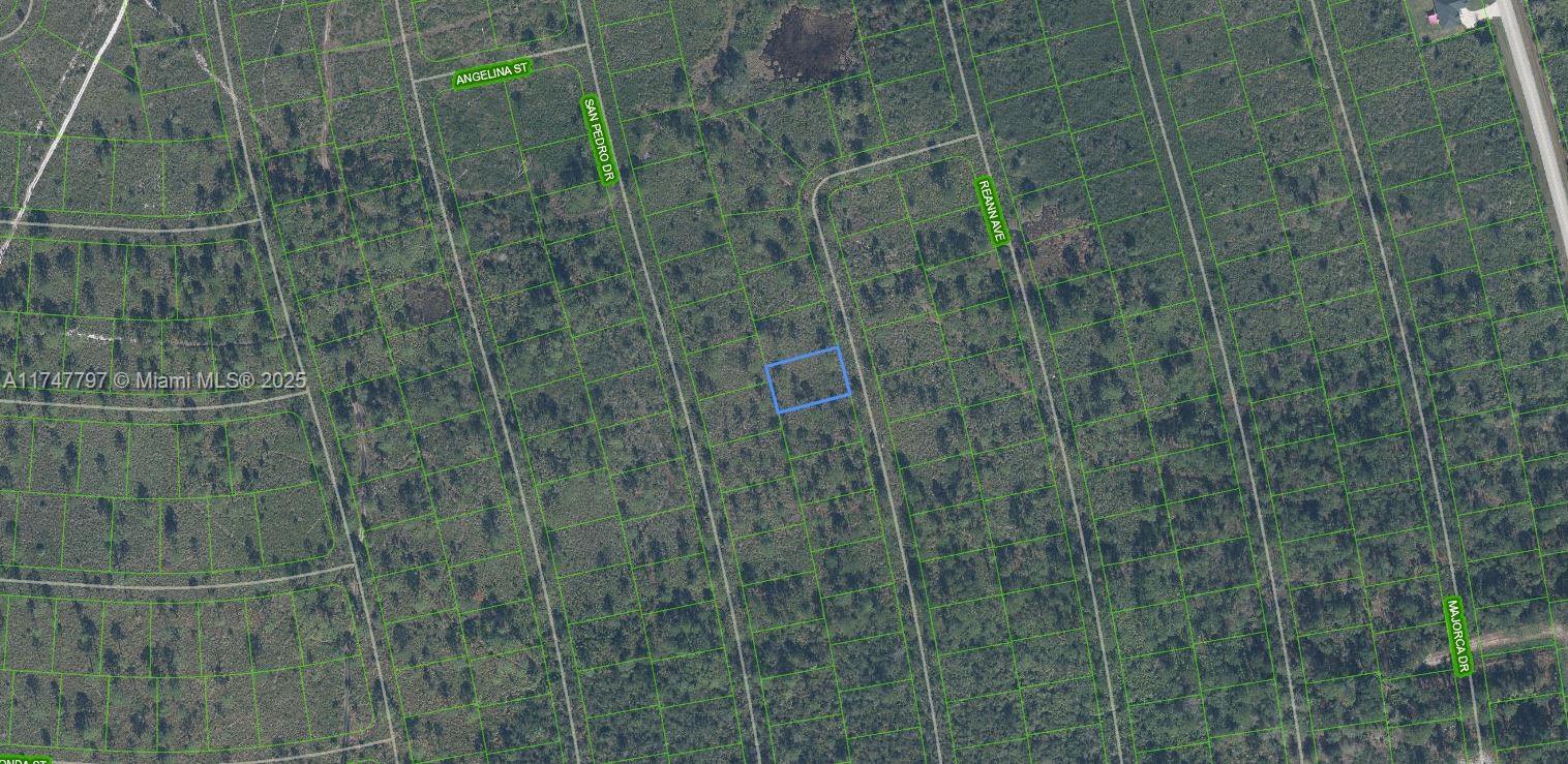 4509 Rosaro Ave, Sebring, Florida image 5