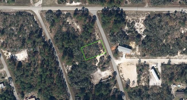 126 Blue Horizon, Lake Placid, Florida image 1