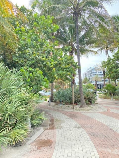 2899 Collins Ave #639, Miami Beach, Florida image 22