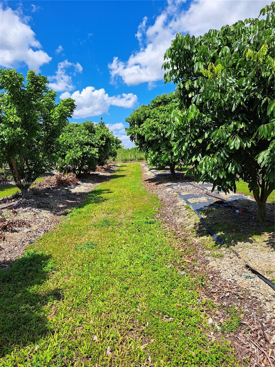 Land, Homestead, Florida image 12