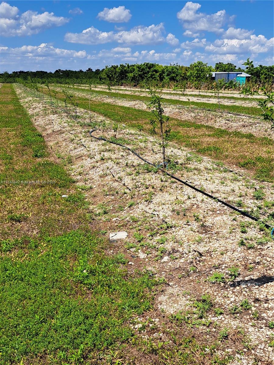 Land, Homestead, Florida image 22