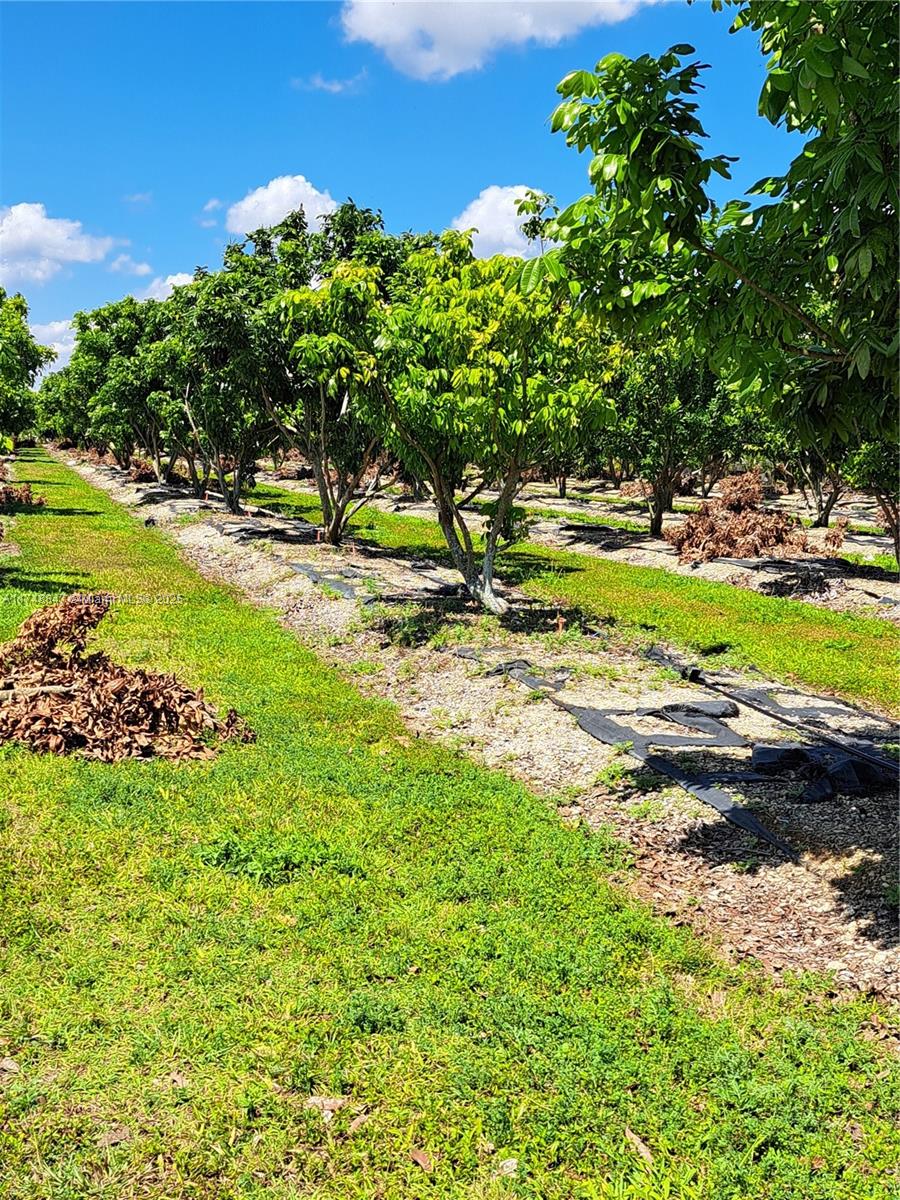 Land, Homestead, Florida image 25
