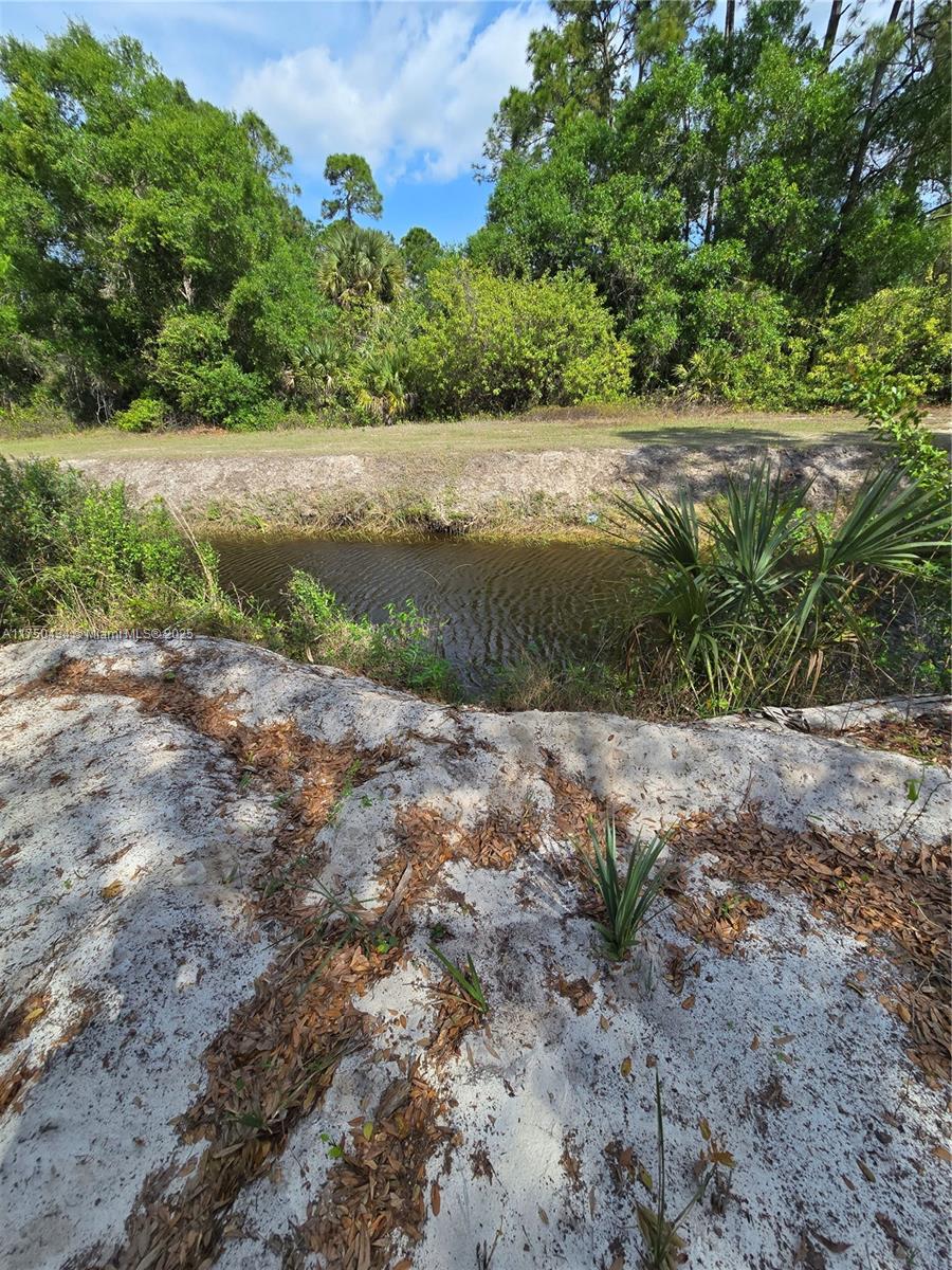 810 S Shetland, Clewiston, Florida image 1