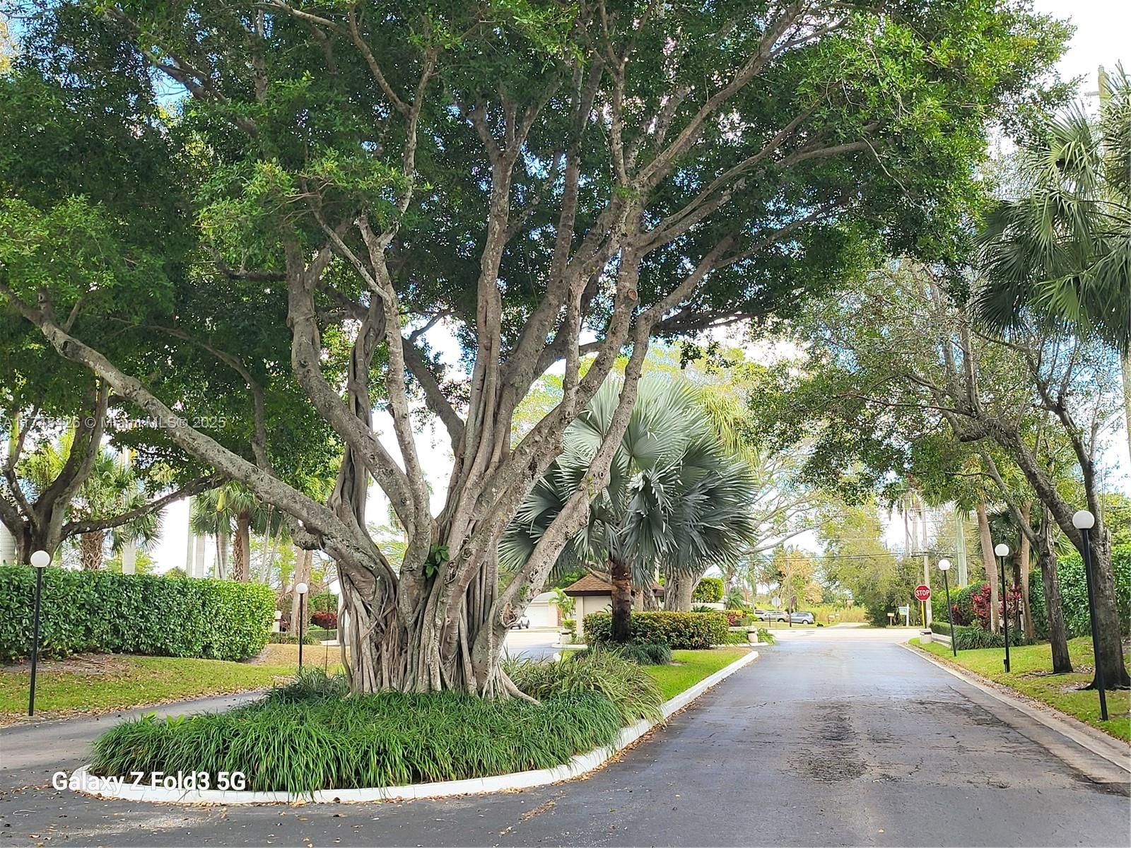 3201 Jog Park Dr, Green Acres, Florida image 24