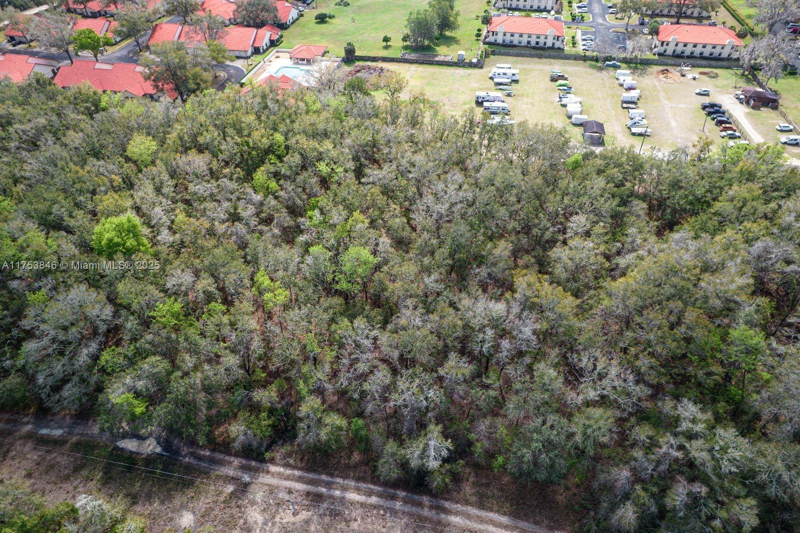 2305 Bluegrass St, Inverness, Florida image 3