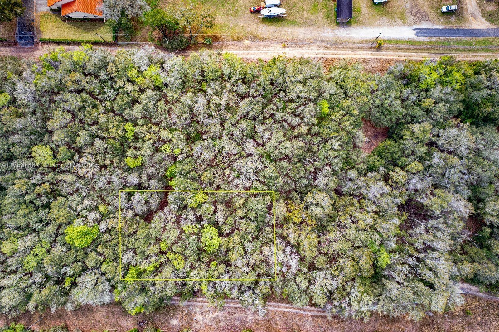 2305 Bluegrass St, Inverness, Florida image 4