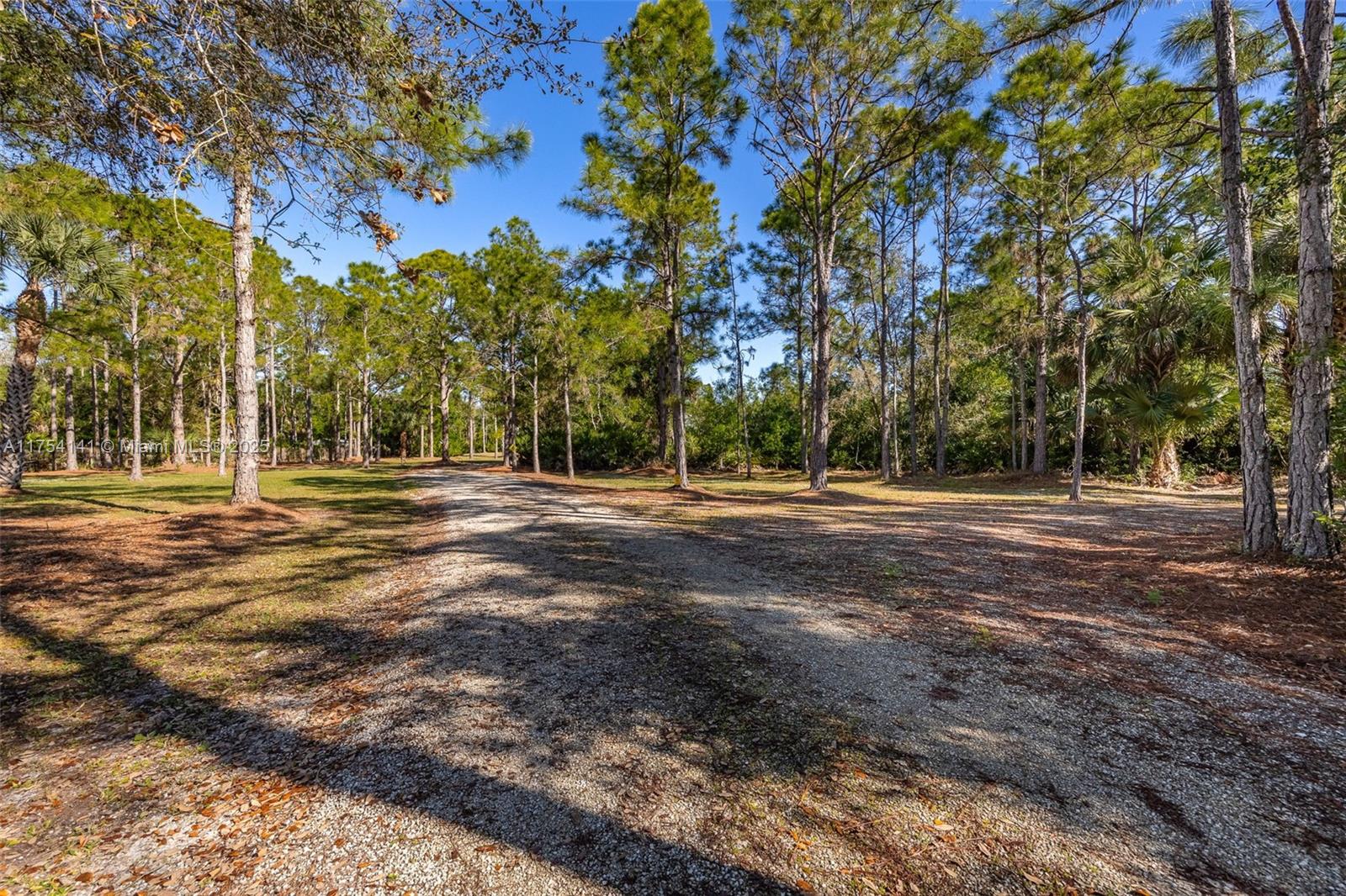 17651 Katydid Ln, Fort Myers, Florida image 5