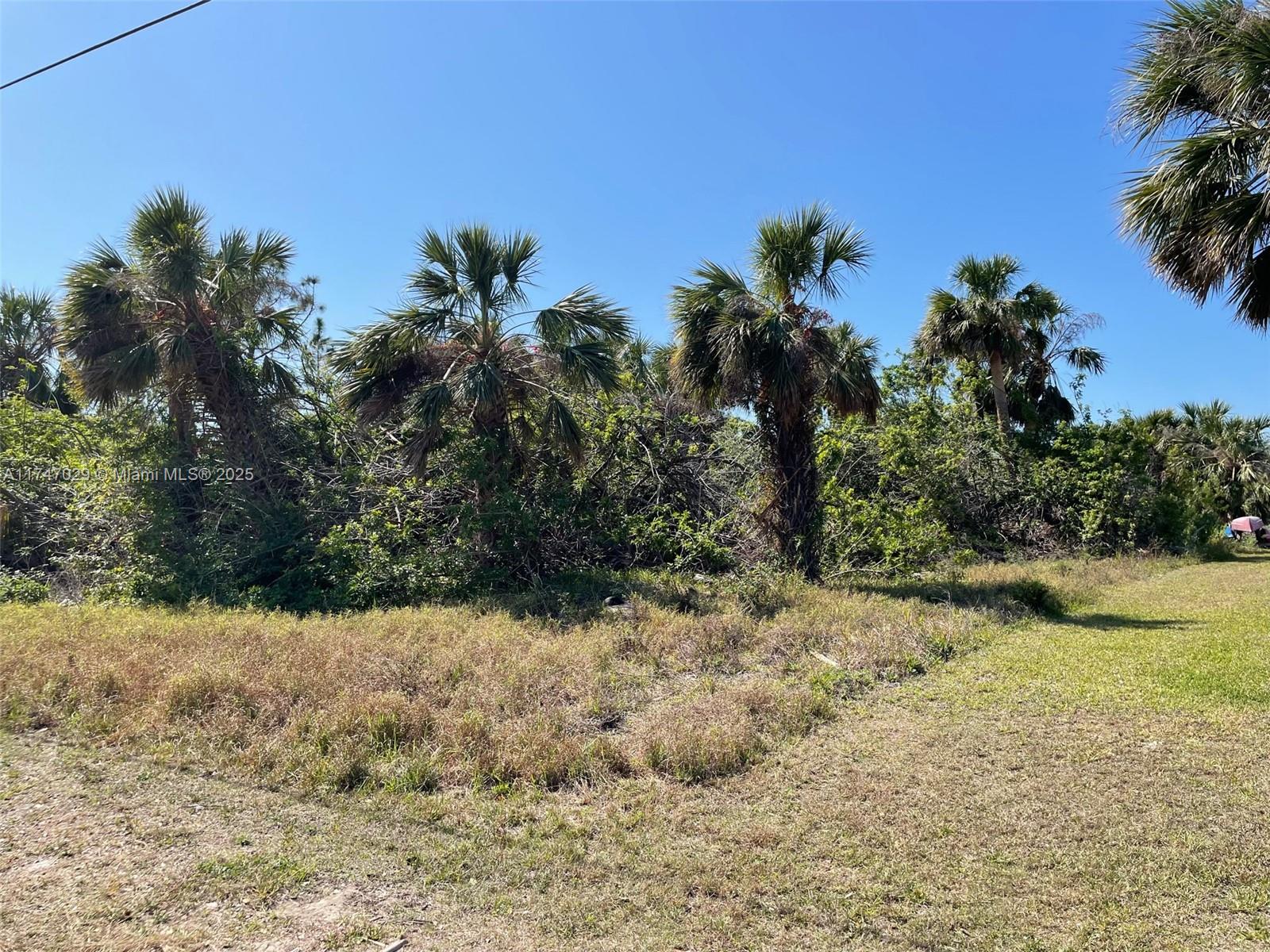 3303 E Cabaret, Port Charlotte, Florida image 3