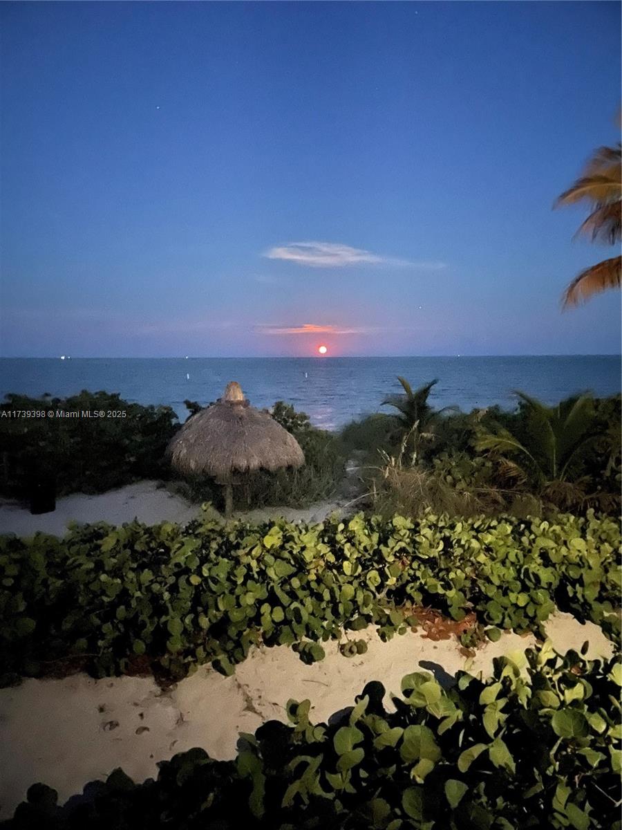 1121 Crandon Blvd #D404, Key Biscayne, Florida image 30