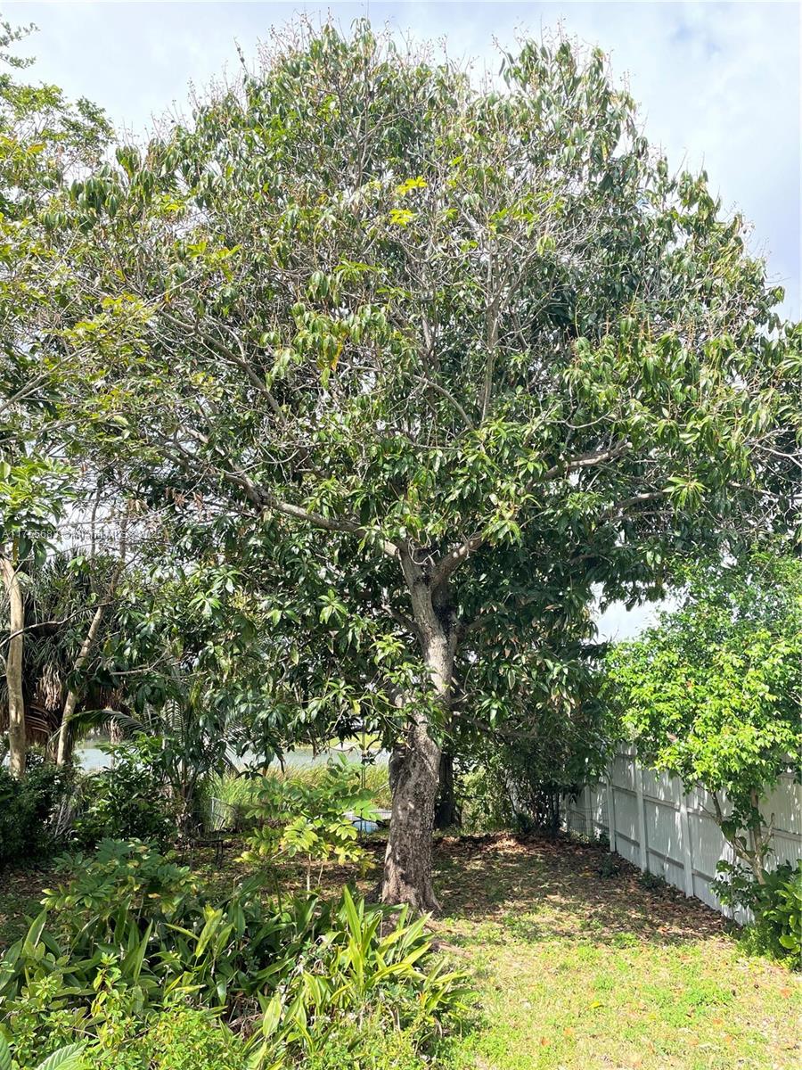 3611 SW 36th St, West Park, Florida image 18