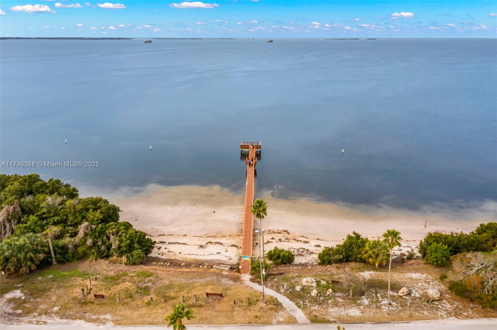 606 Indiana Ave, Palm Harbor, Florida image 50
