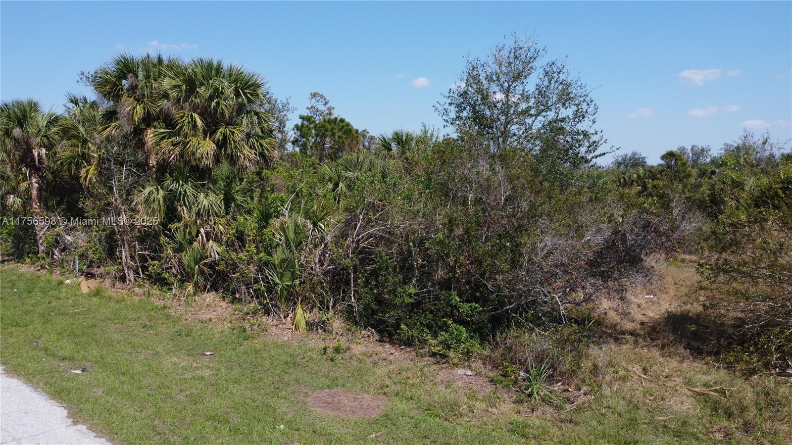 7114 Kaler St, Port Charlotte, Florida image 3